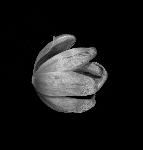 Saturn