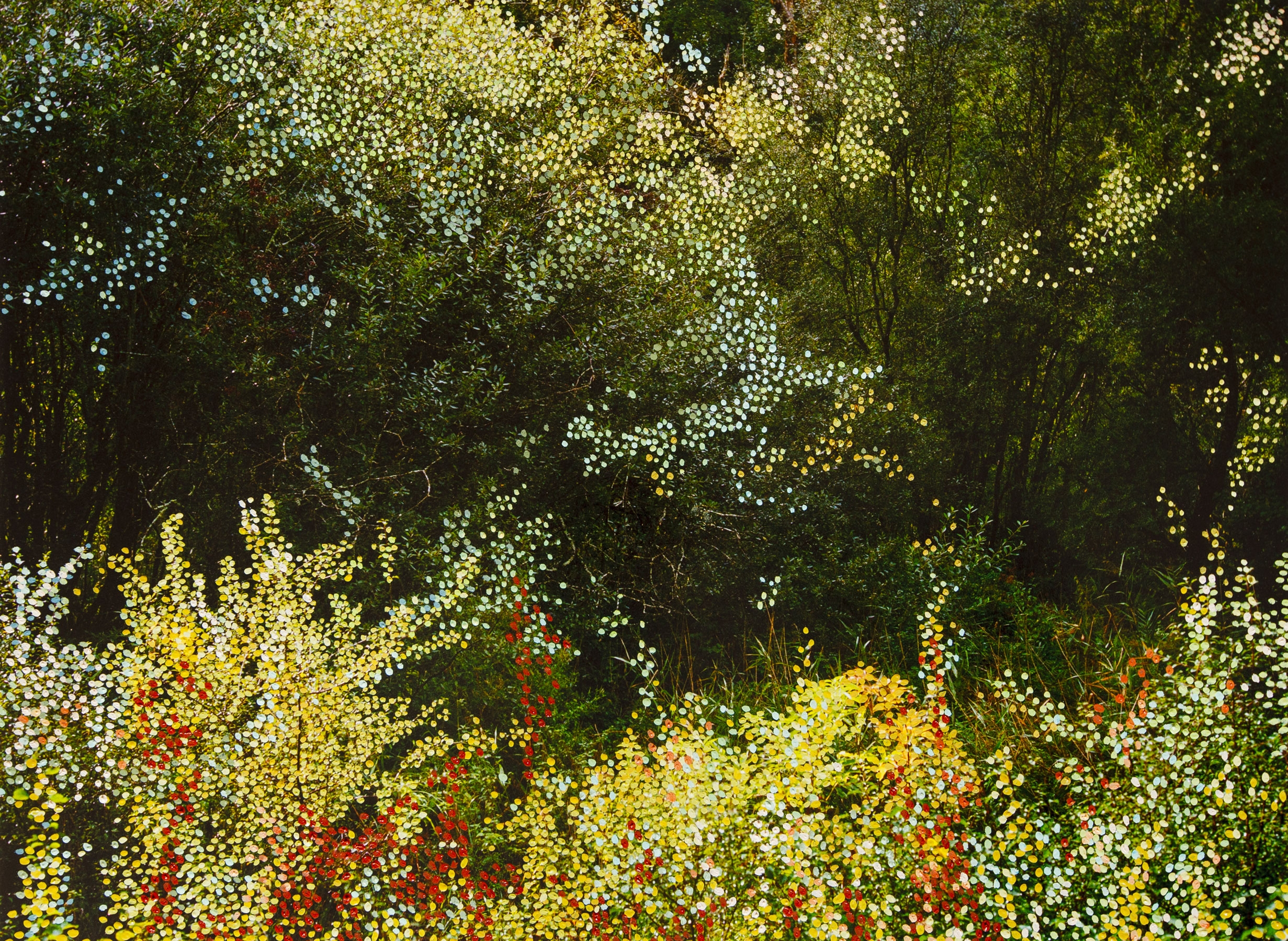 Forêt d'Automne Jaune III