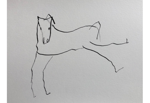 Variations sur un cheval 3