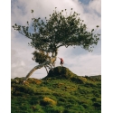 Colline de Pico, Açores