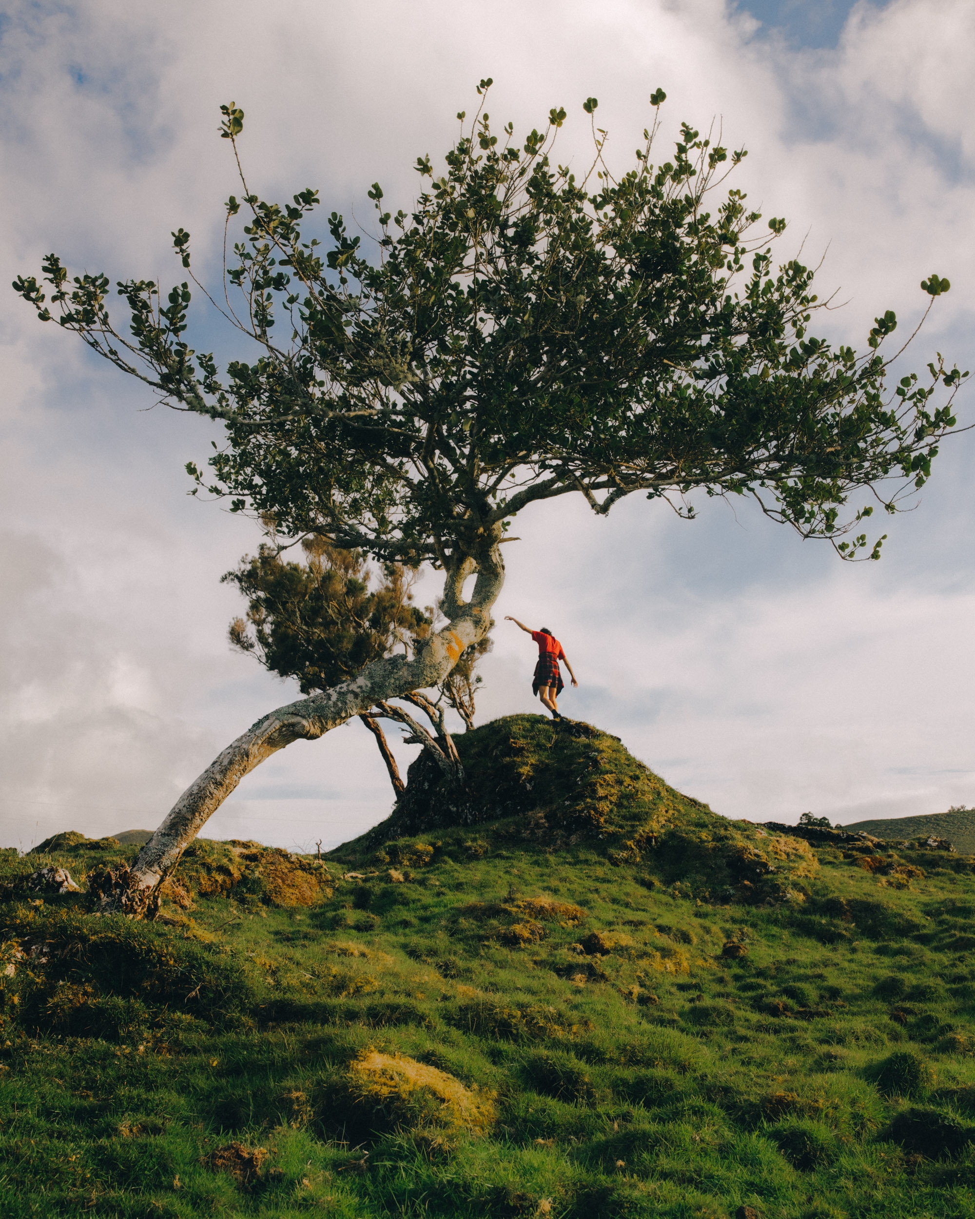 Colline de Pico, Açores