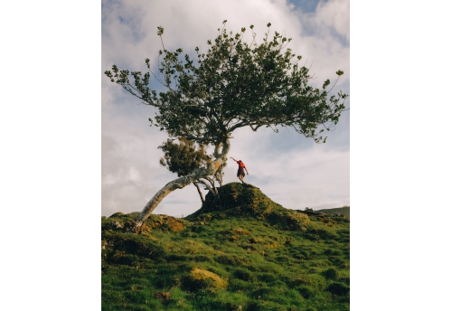 Colline de Pico, Açores