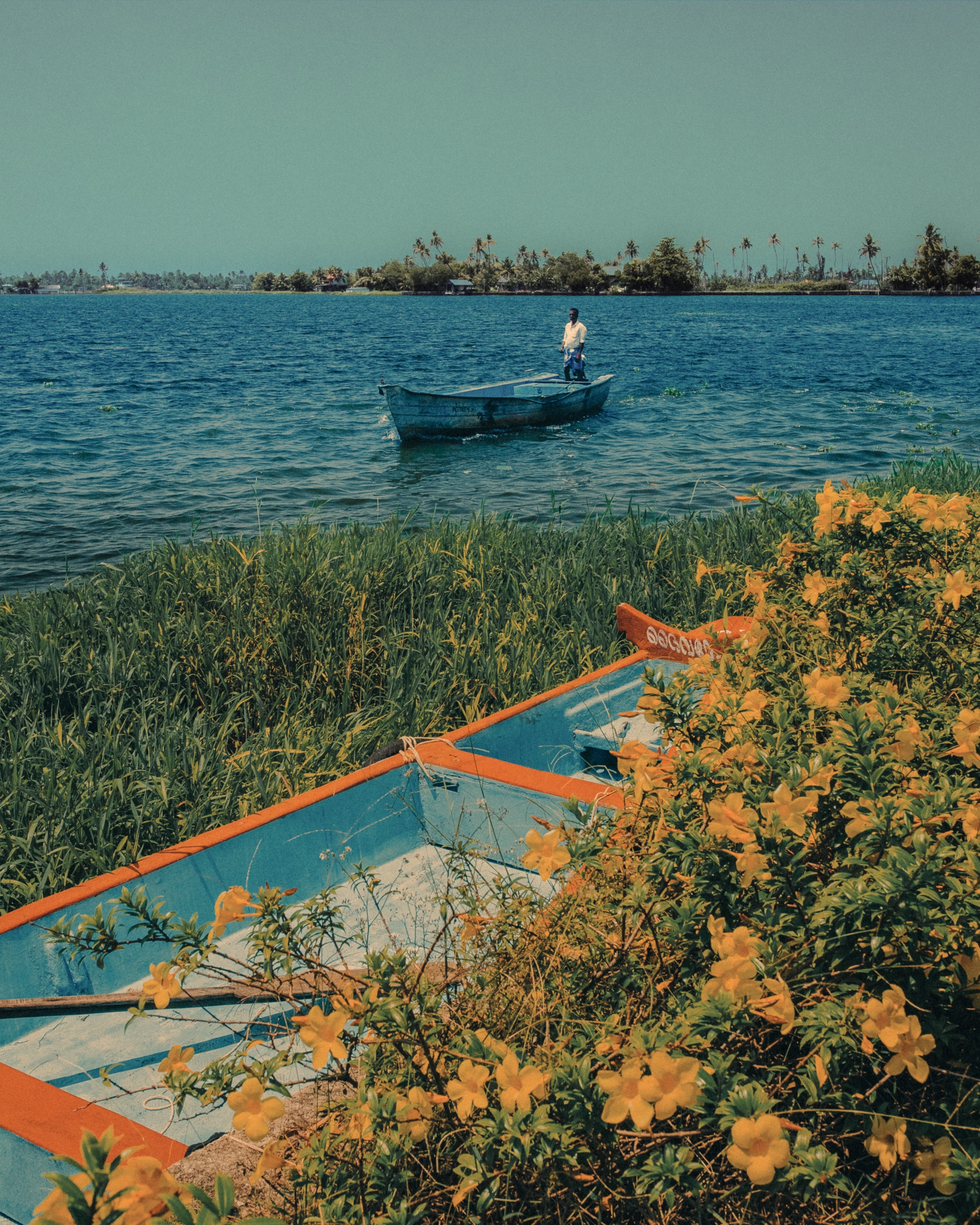 Backwaters, Kerala