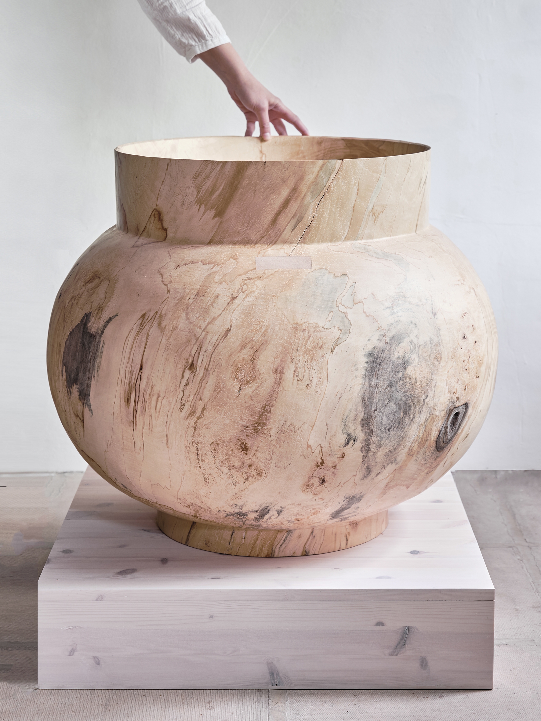 Horse chestnut land jar