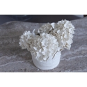 Vase Hortensias